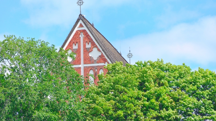 Domkyrkans tak och lindens trädkronor.