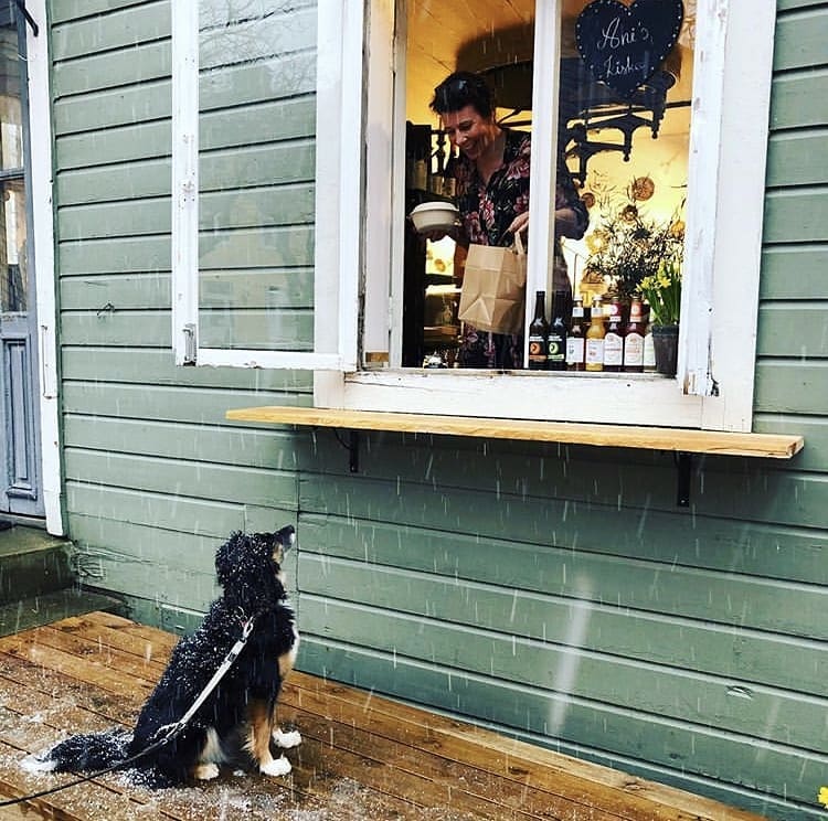 Präst och diakoniarbetare anträffbara En hund tittar förväntansfullt på en matkasse som en dam ger ut genom fönstret.