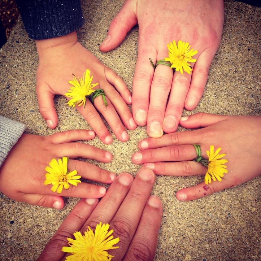 Sommarcafé för barnfamiljer utomhus Händer med maskrosor mellan fingrarna.