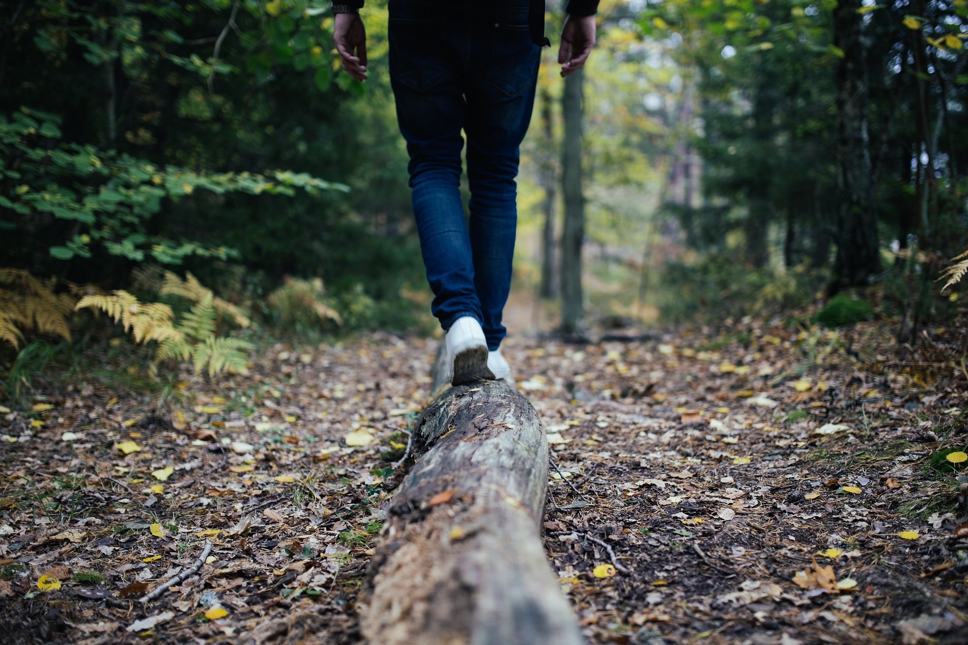 En bild med skog där en människor går på en fallen stock. Man ser hens ben.